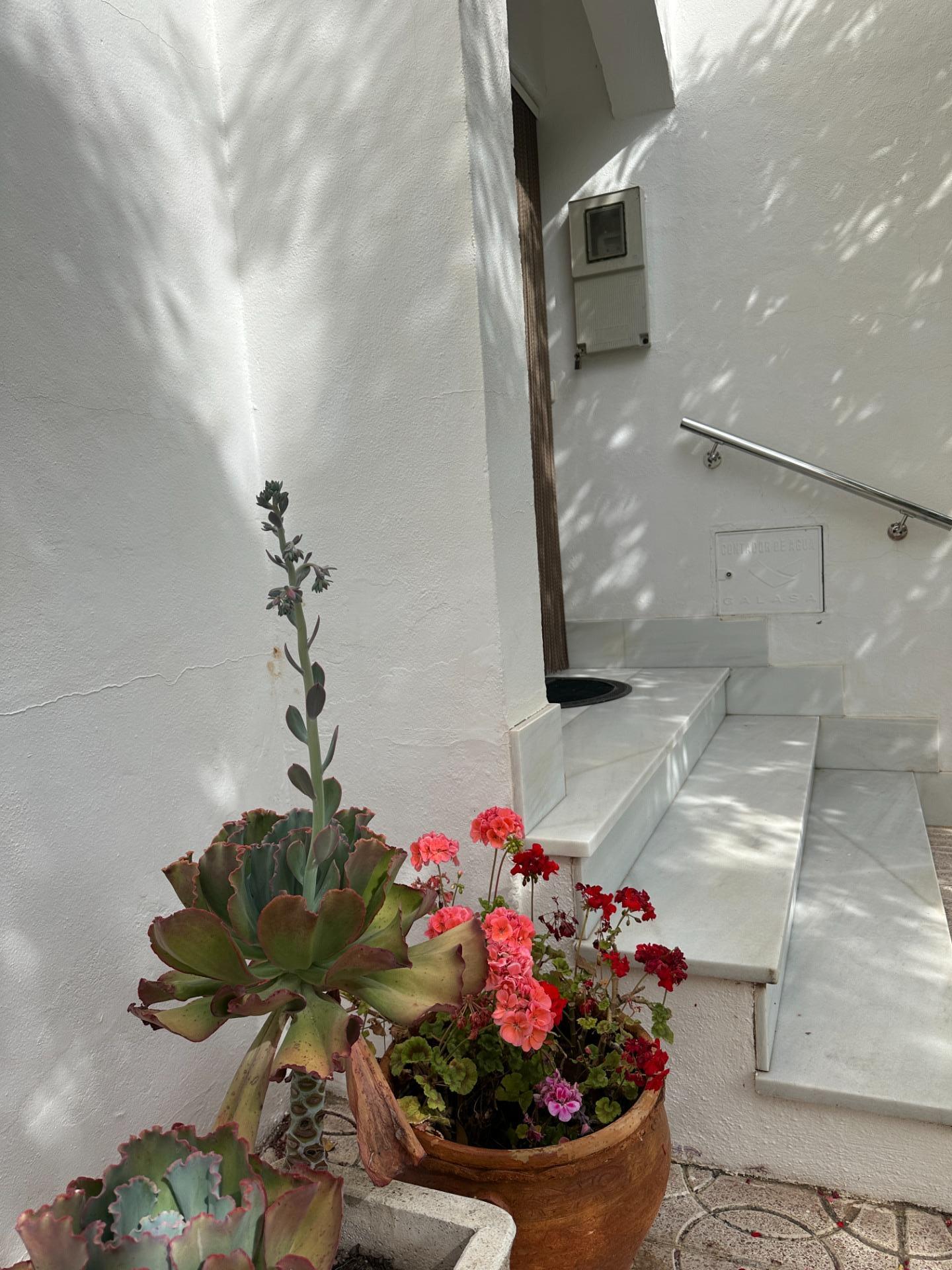 Villa de 4 chambres à Almería, Espagne – Photo 30