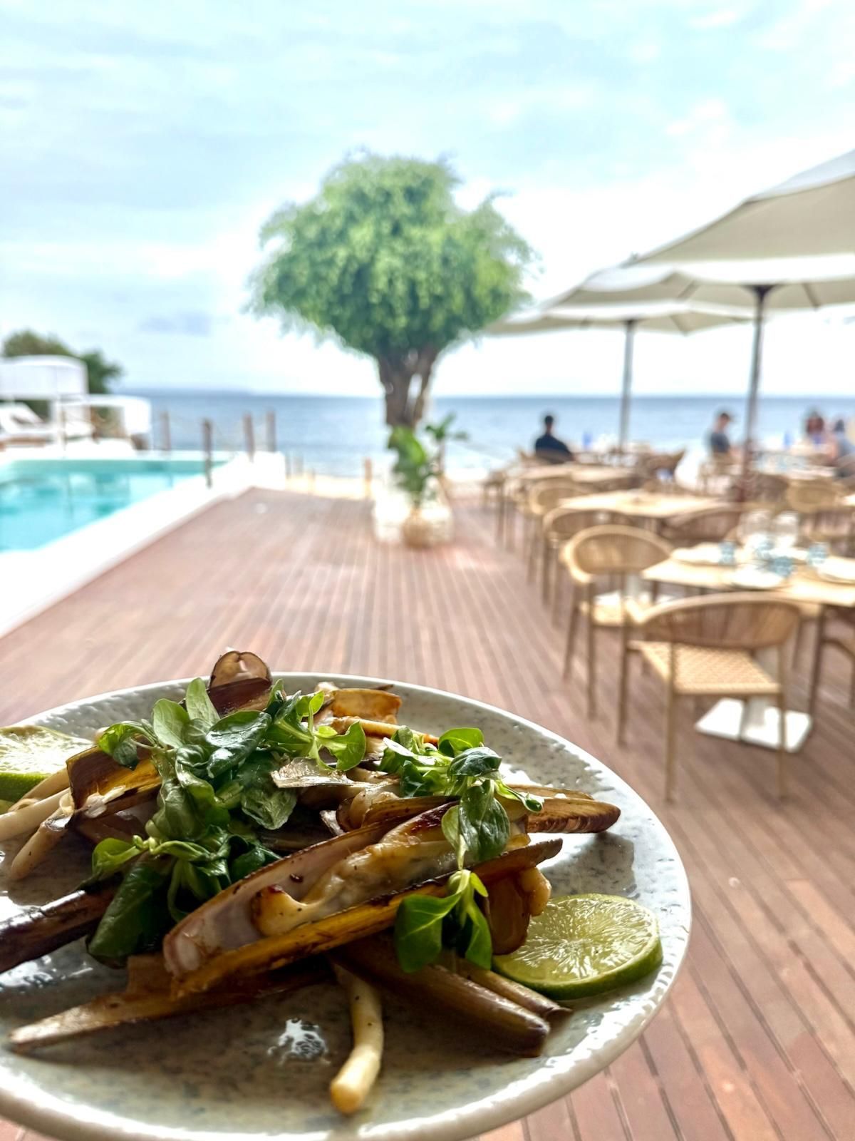 Gewerbefläche mit Pool in Balearen, Spanien – Foto 5