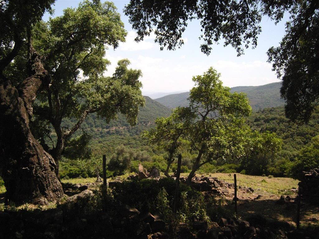 300,000 m² Plot in Cortes de la Frontera - Photo 5