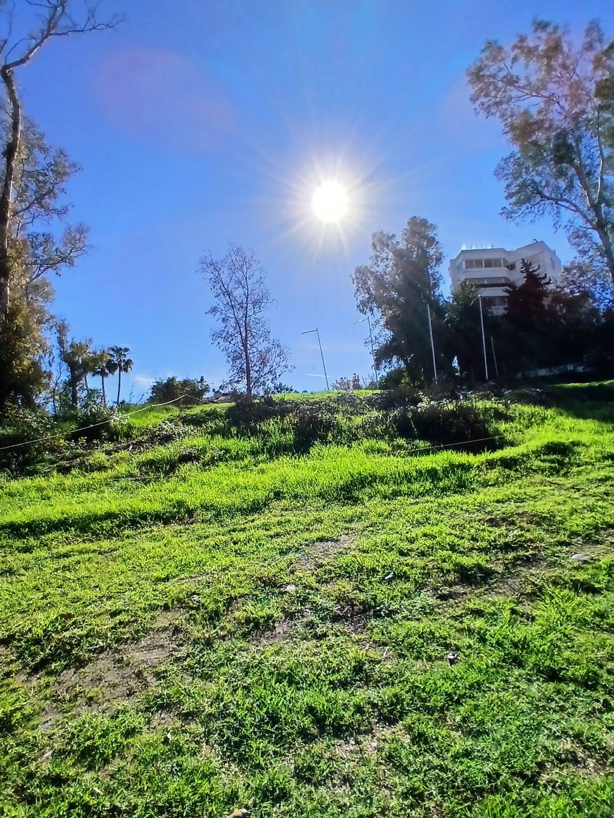 1,050 m² Plot in San Pedro de Alcántara - Photo 5