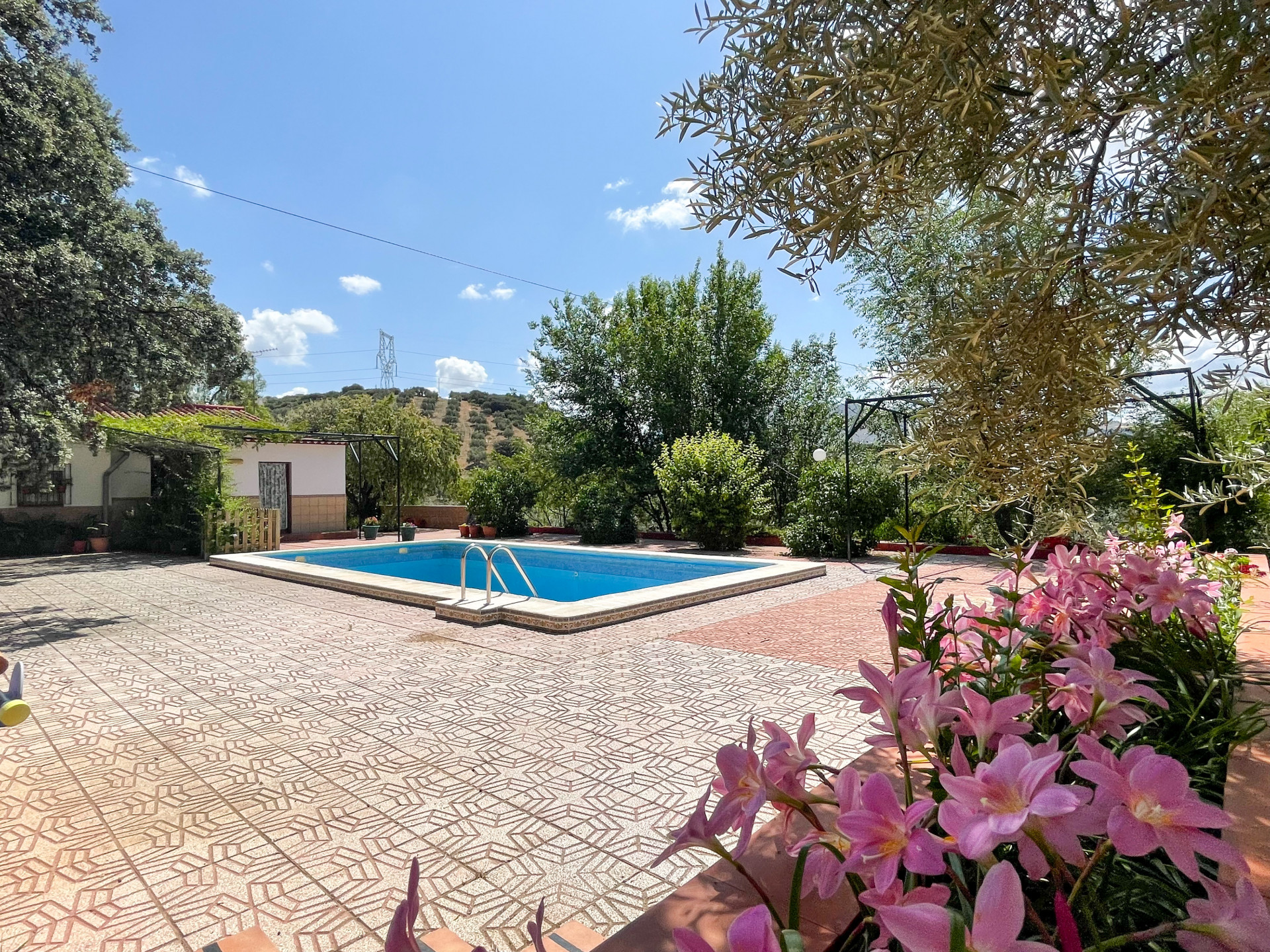 6 Bedroom Country house in Antequera - Photo 2