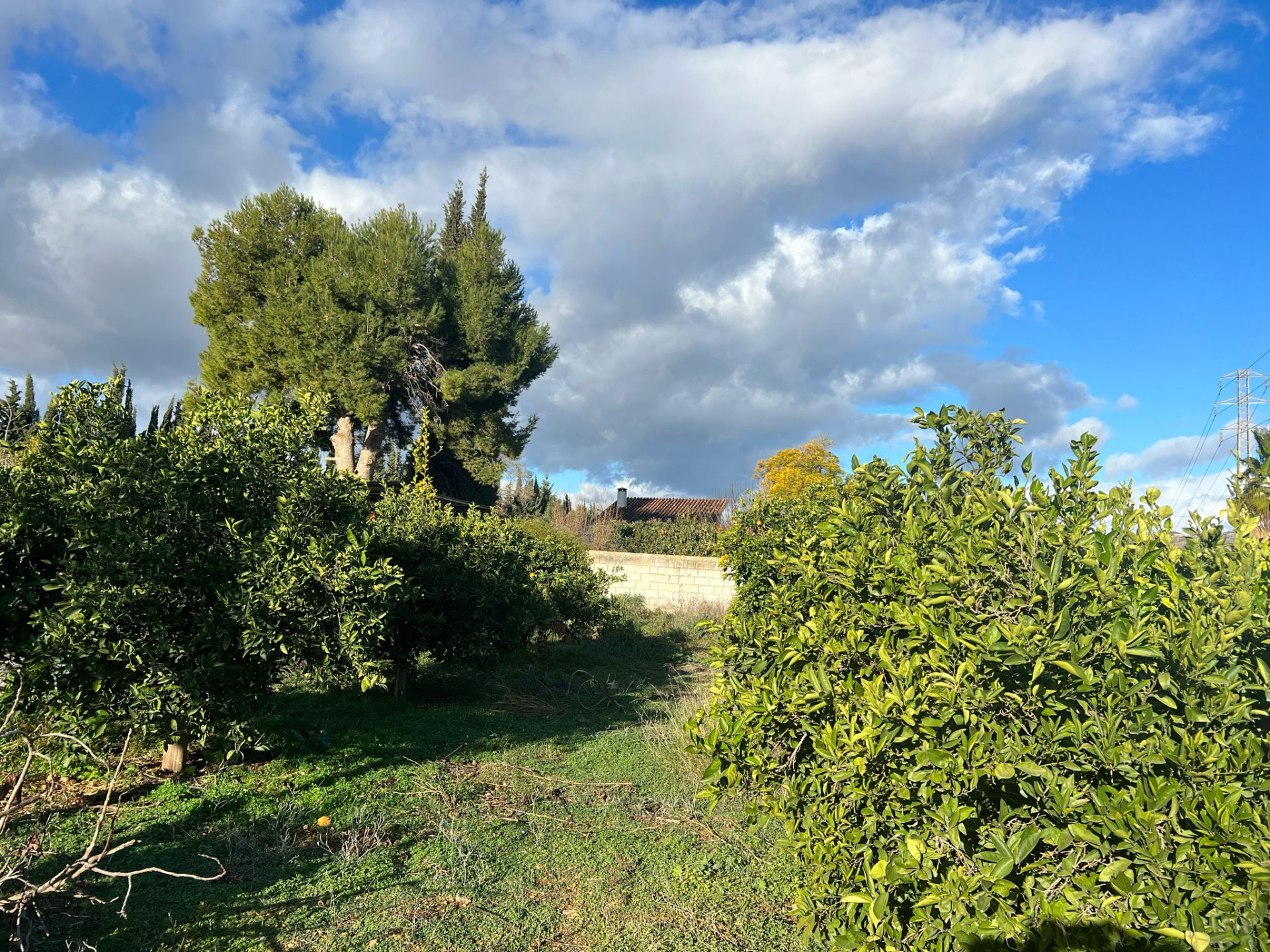 3 Bedroom Country house in Alhaurín de la Torre - Photo 11
