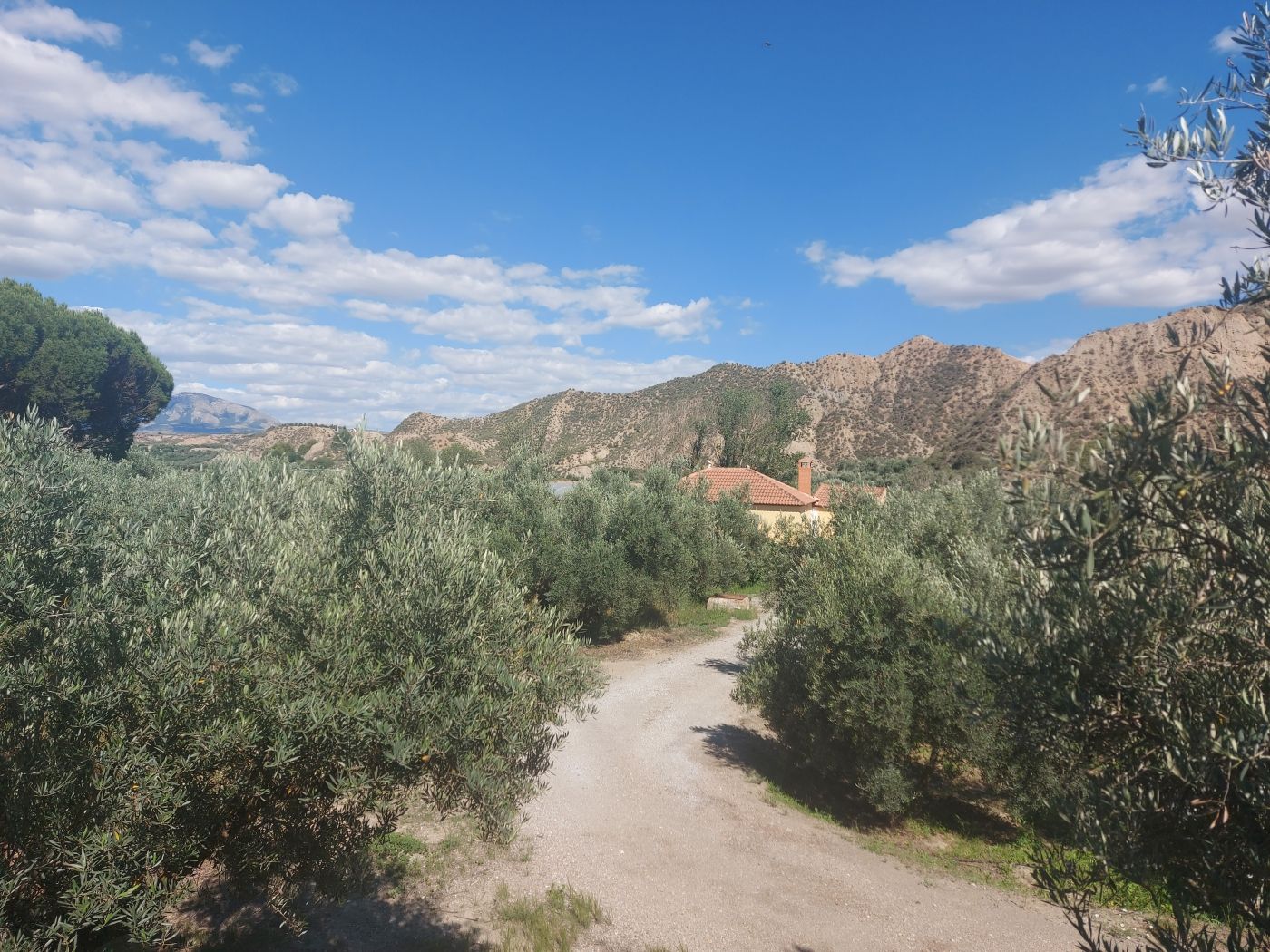 Moradia com 1 quarto em Granada, Espanha – Foto 6