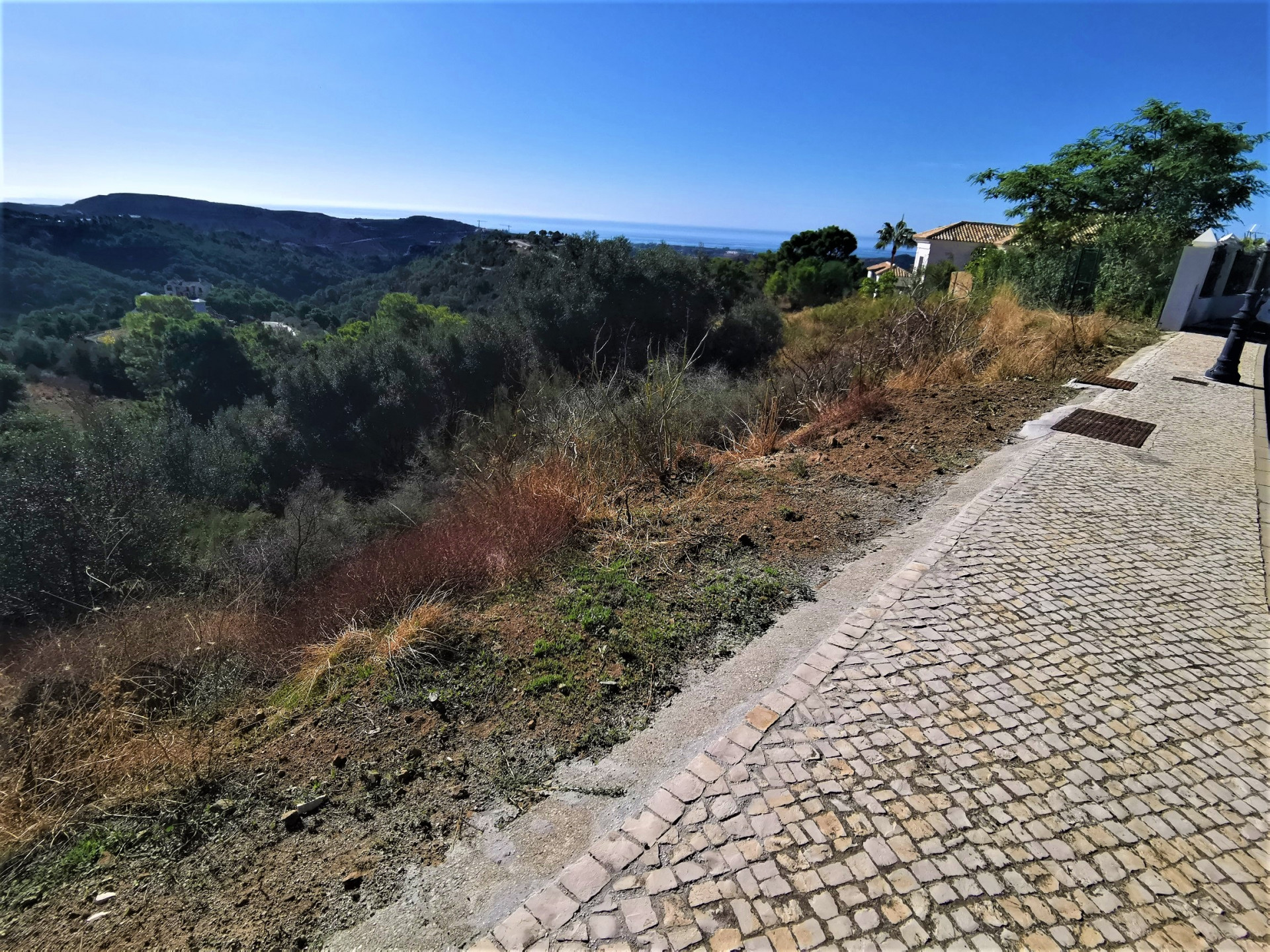 Plot in Monte Mayor