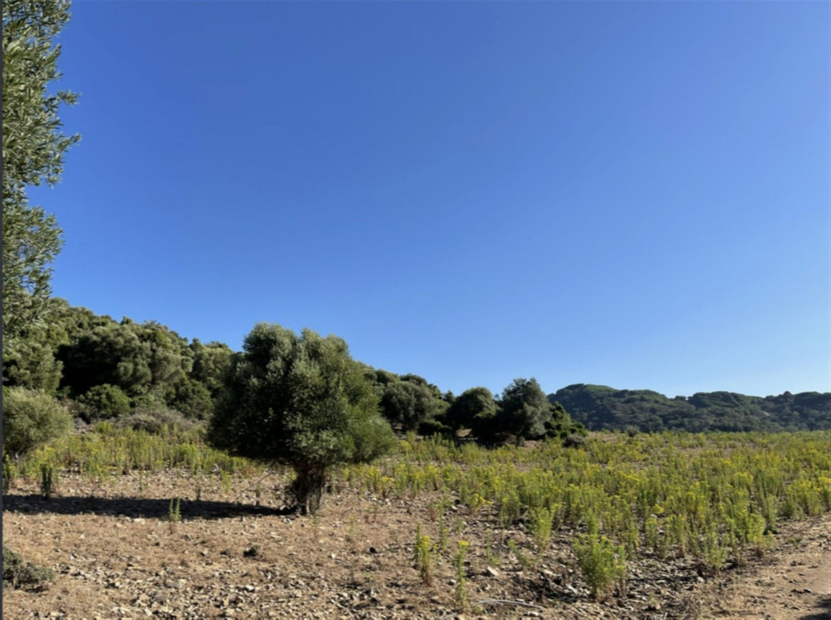 Villa de 3 chambres à Cadix, Espagne – Photo 15