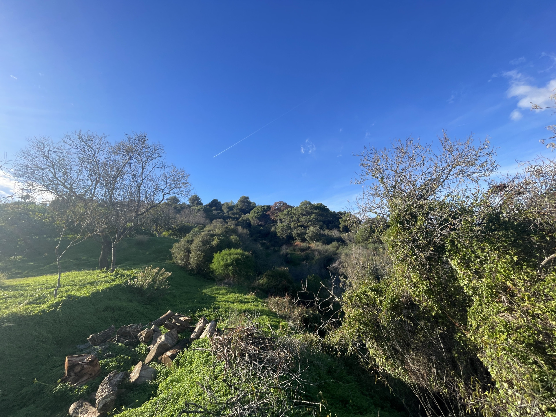 4 Bedroom Country house in Estepona - Фото 4