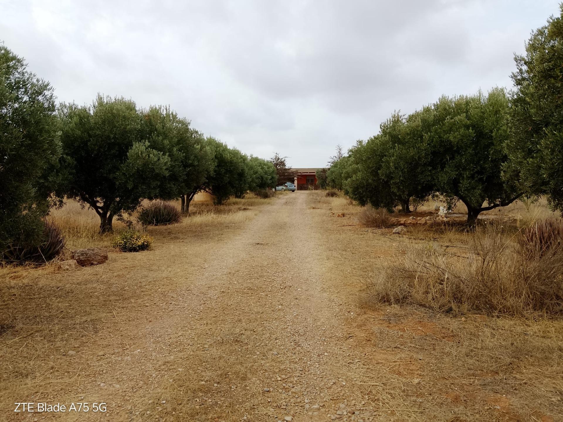 Chalet de 4 dormitorios en Murcia – Foto 24
