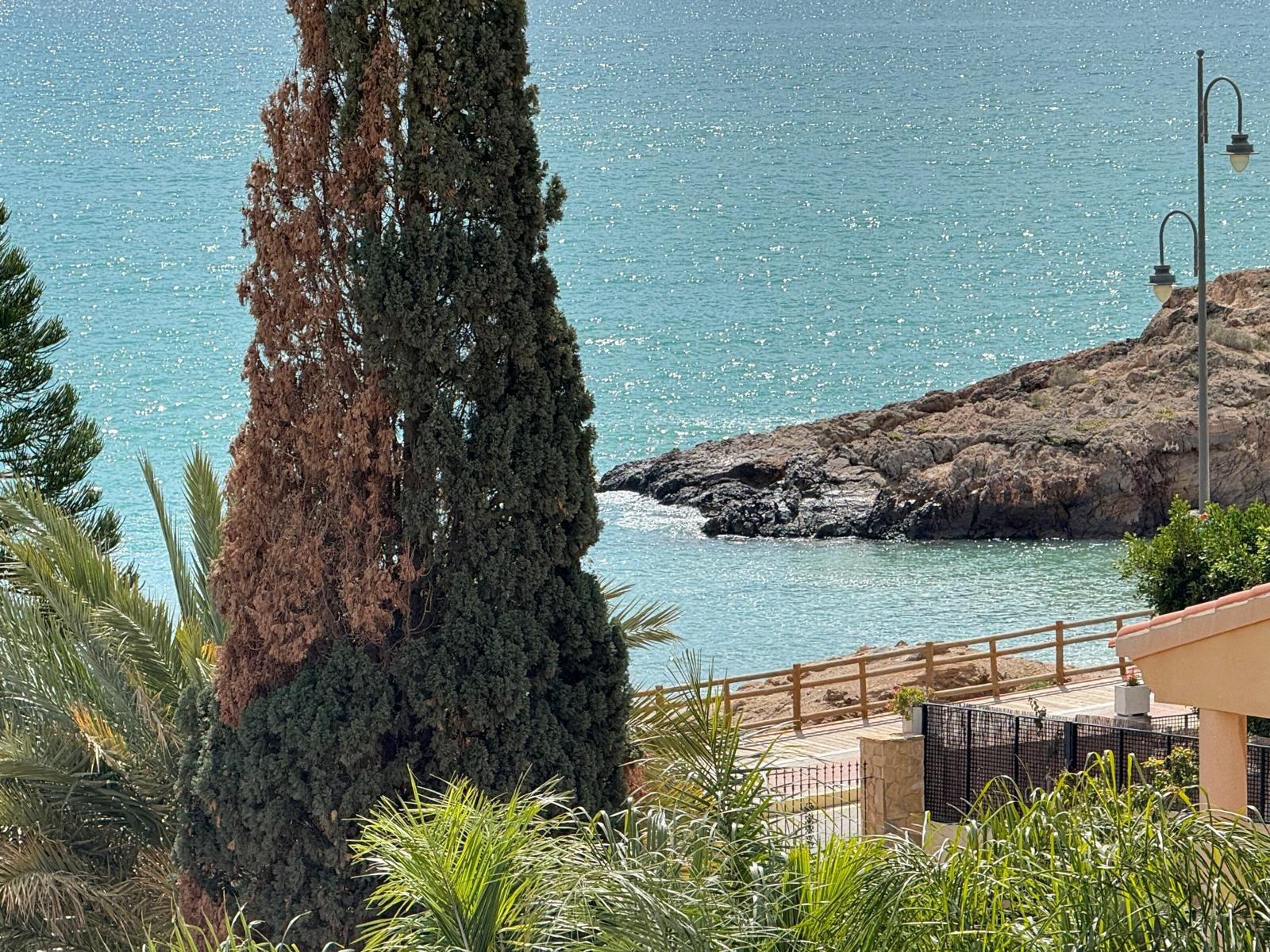 Moradia com 5 quartos com piscina em Múrcia, Espanha – Foto 2