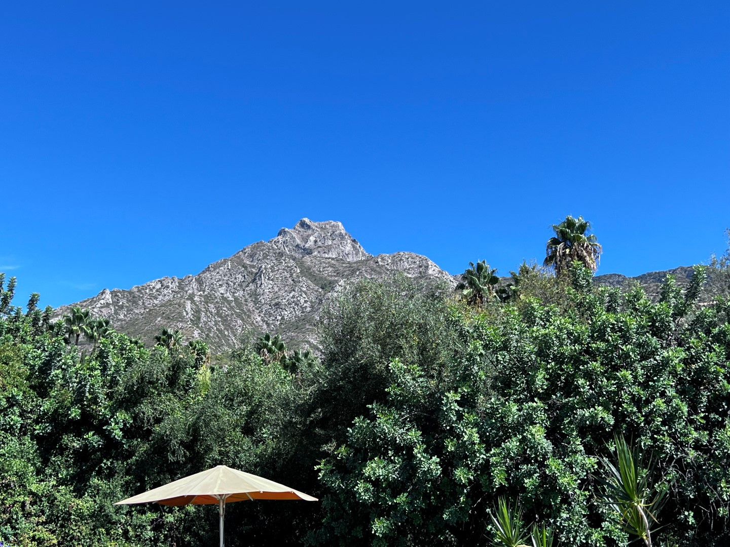 5,700 m² Plot in Marbella - Photo 3