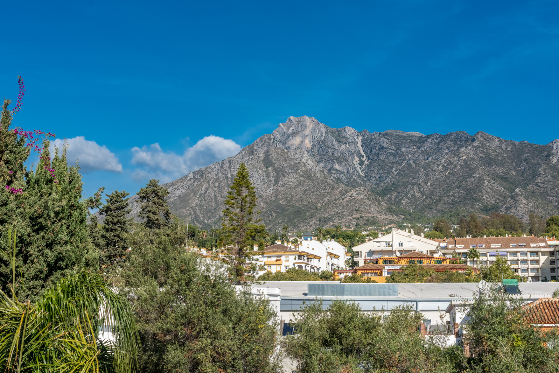 5 Bedroom Villa in Marbella - Photo 4