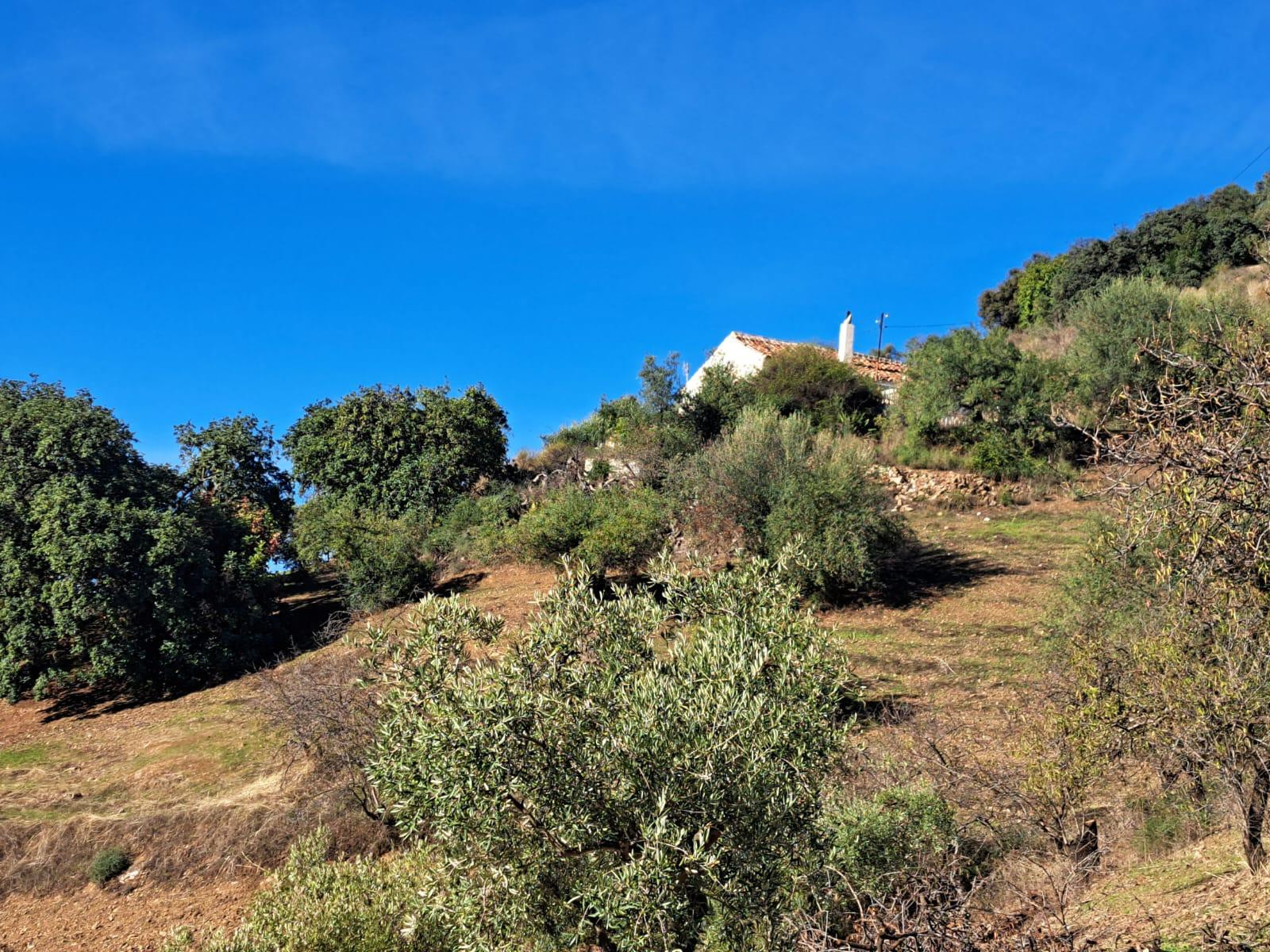 3 Bedroom Country house in Colmenar - Foto 16