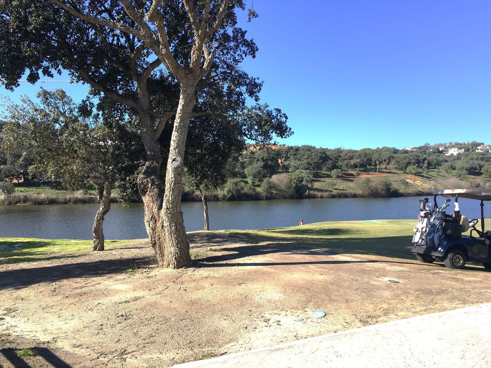 2,703 m² Plot in Sotogrande - Photo 6
