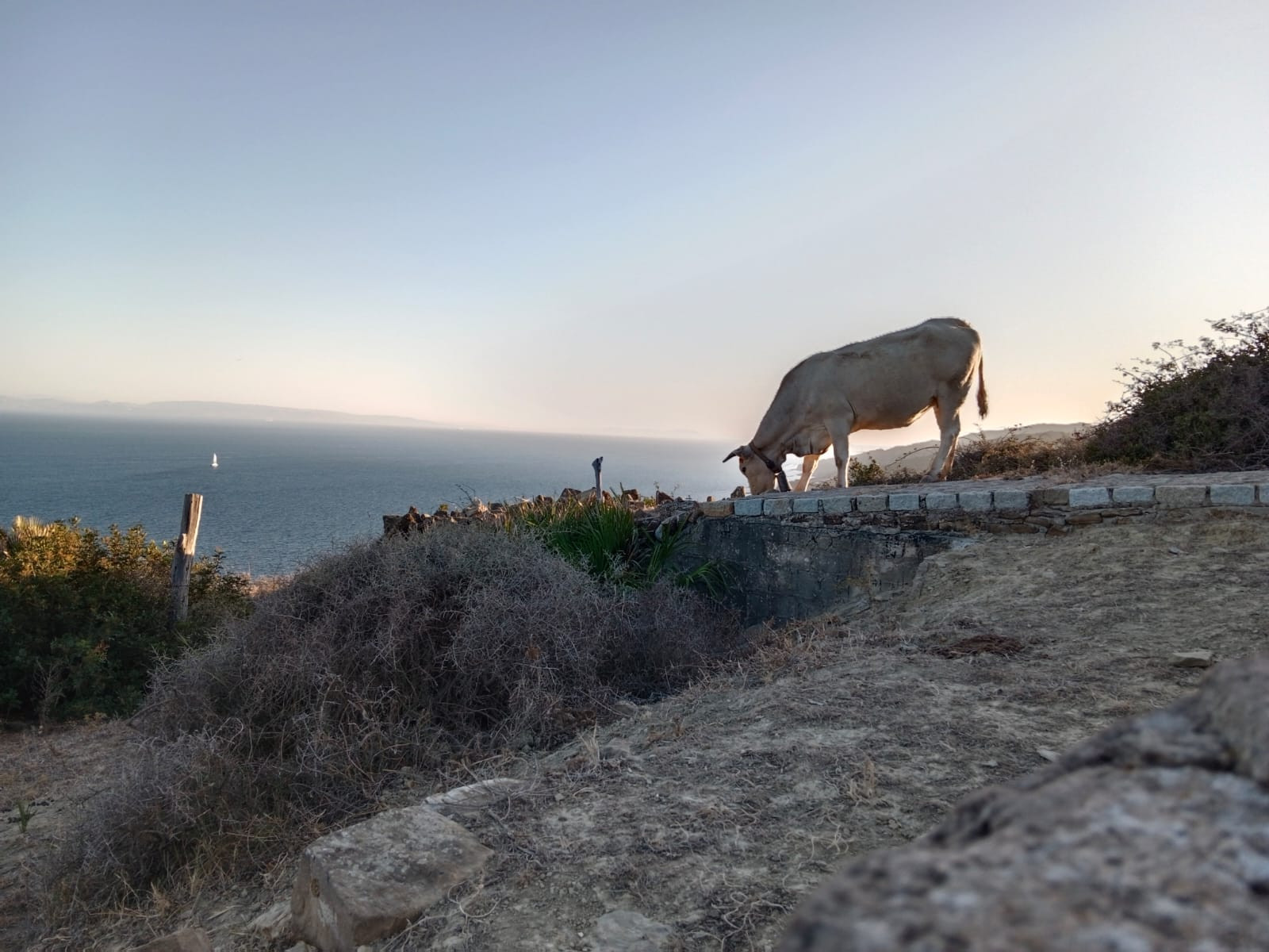 110,000 m² Plot in Tarifa - Photo 2