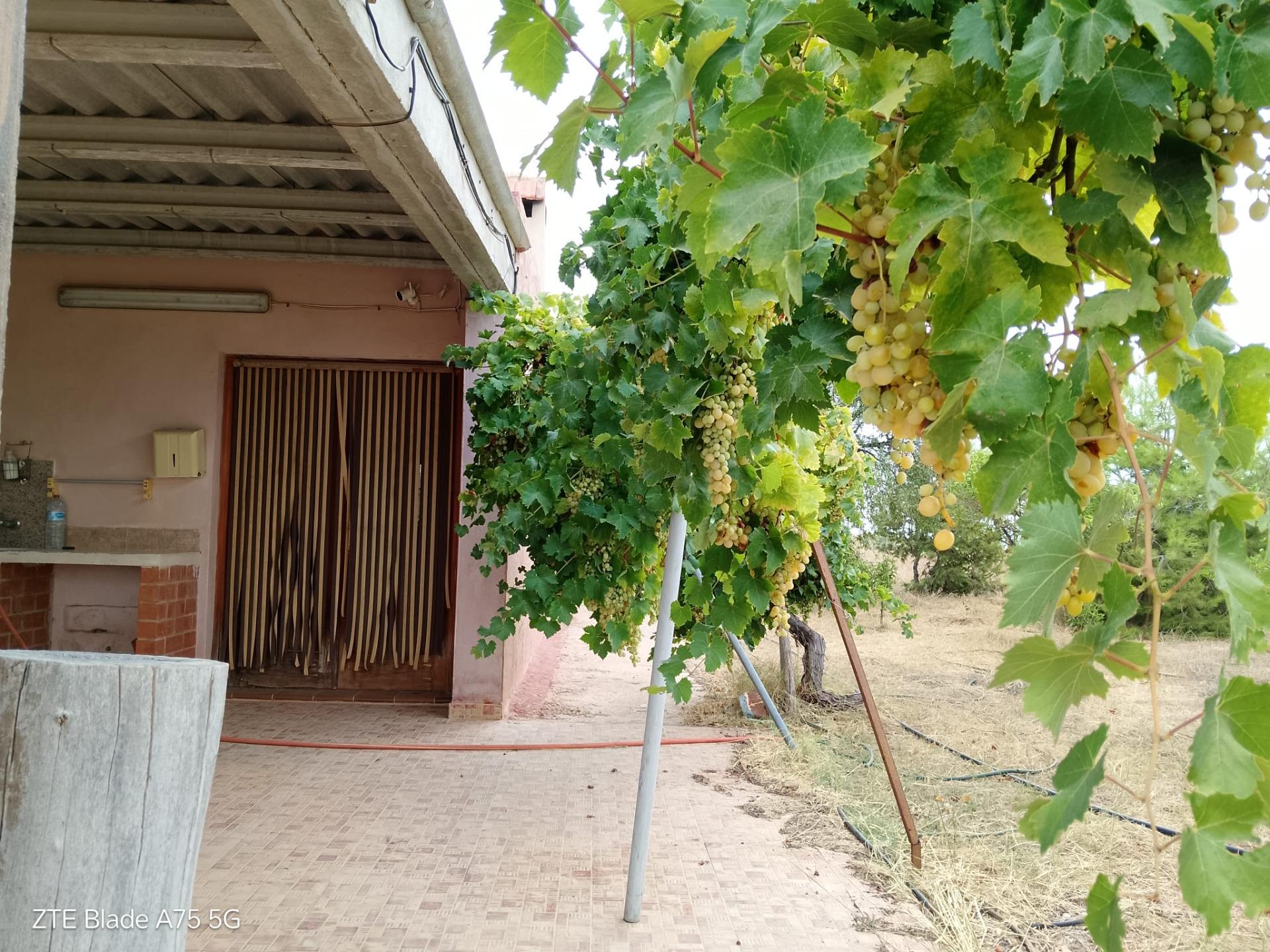 Chalet de 4 dormitorios en Murcia – Foto 9
