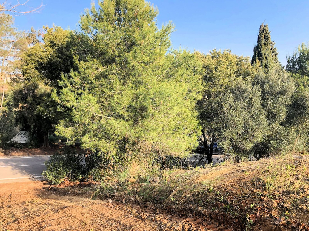 1 m² Plot in Sotogrande - Photo 2