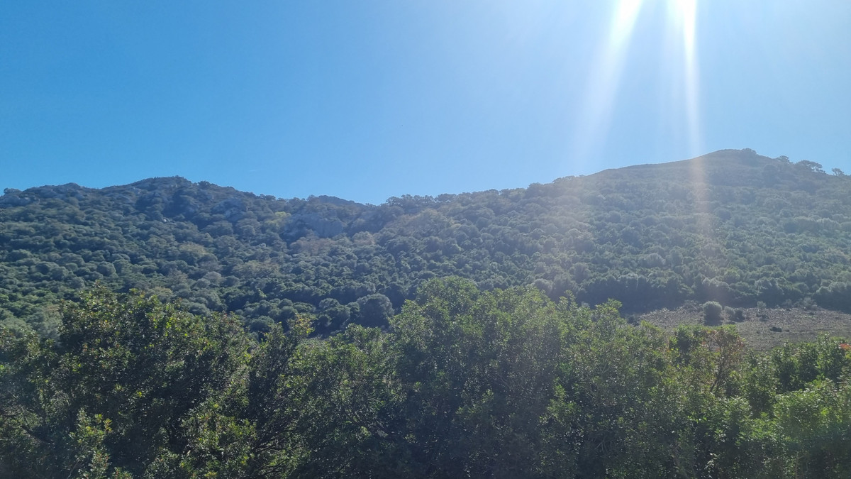 Villa de 3 chambres à Cadix, Espagne – Photo 23