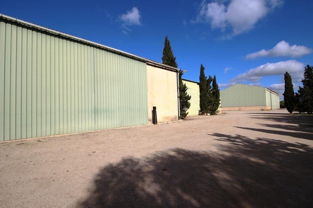 Villa con 5 camere con piscina a Baleari, Spagna – Foto 25