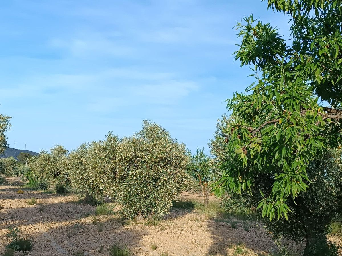 Villa con 2 camere a Murcia, Spagna – Foto 15