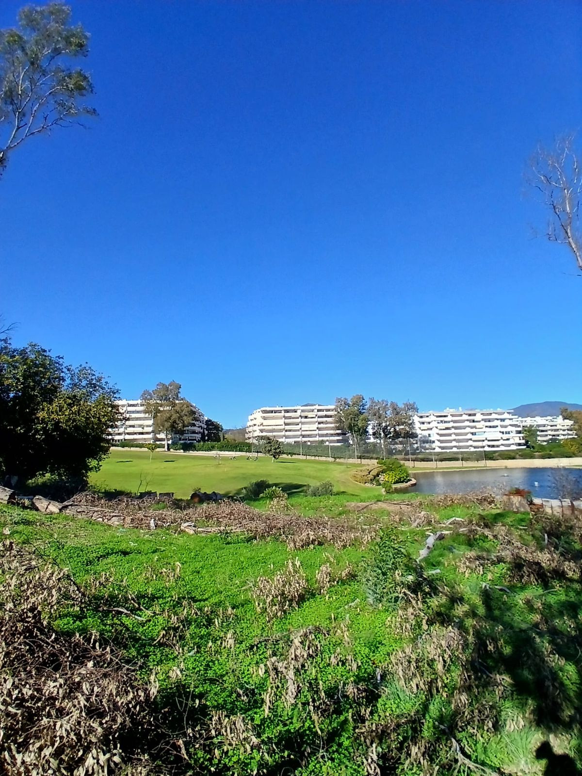 1,050 m² Plot in San Pedro de Alcántara - Photo 13