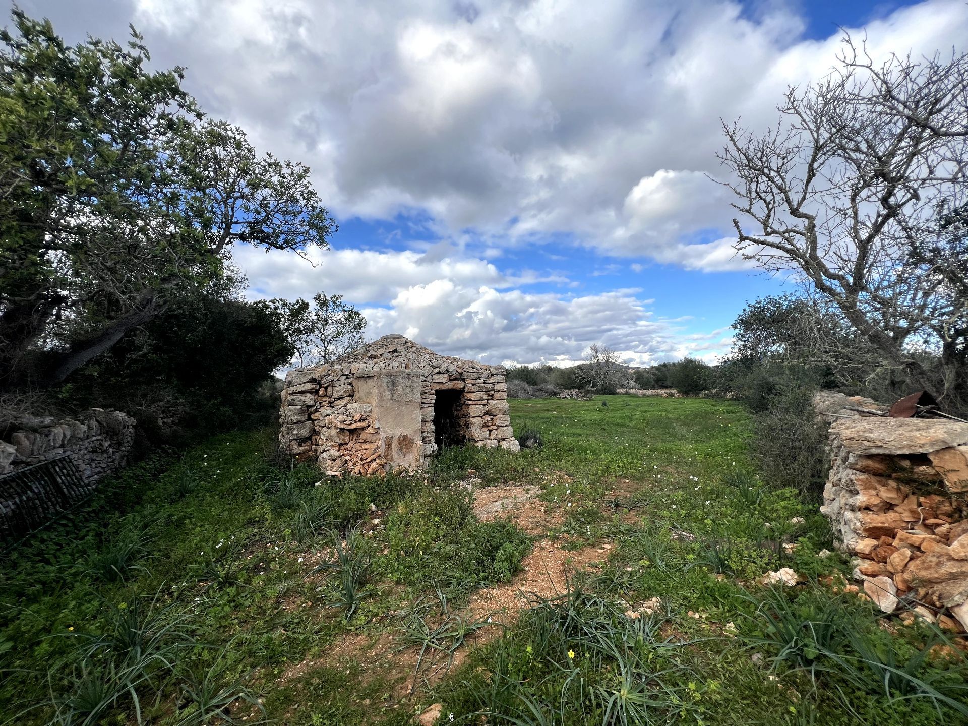 Plot in Santanyi