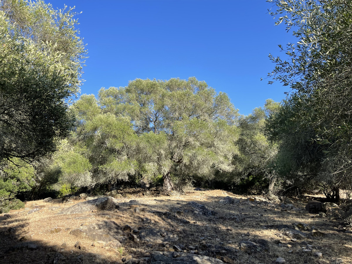 Moradia com 2 quartos com piscina em Cádiz, Espanha – Foto 16